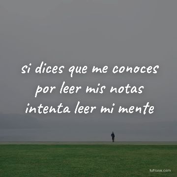 si dices que me conoces por leer mis notas intenta leer mi mente