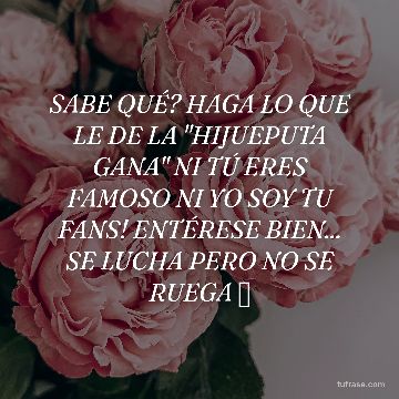SABE QUÉ? HAGA LO QUE LE DE LA "HIJUEPUTA GANA" NI TÚ ERES FAMOSO NI YO SOY TU FANS! ENTÉRESE BIEN... SE LUCHA PERO NO SE RUEGA 🙄