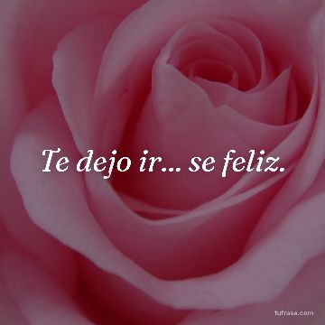 Te dejo ir... se feliz.