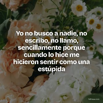 Yo no busco a nadie, no escribo, no llamo, sencillamente porque cuando lo hice me hicieron sentir como una estúpida