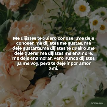 Me dijistes te quiero conoser ,me deje conoser, me dijistes me gustas, me deje gustarte,me dijistes te queiro ,me deje querer me dijistes me enamore, me deje enamorar. Pero nunca dijistes ya me voy, pero te deje ir por amor ami.