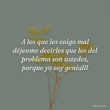 A los que les caigo mal déjenme decirles que los del problema son ustedes, porque yo soy genialll