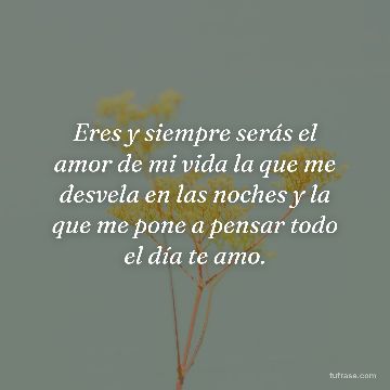 Eres y siempre serás el amor de mi vida la que me desvela en las noches y la que me pone a pensar todo el día te amo.