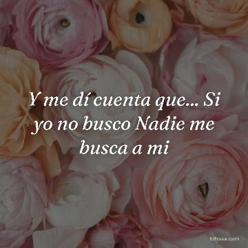 Y me dí cuenta que... Si yo no busco Nadie me busca a mi