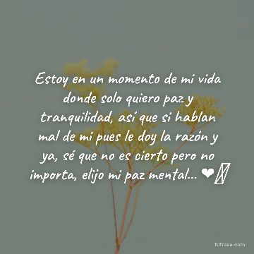 Estoy en un momento de mi vida donde solo quiero paz y tranquilidad, así que si hablan mal de mi pues le doy la razón y ya, sé que no es cierto pero no importa, elijo mi paz mental... ❤️‍🩹
