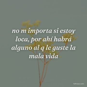 no m importa si estoy loca, por ahí habrá alguno al q le guste la mala vida