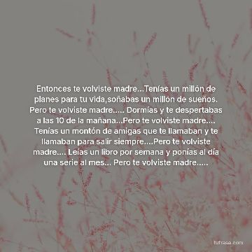 Entonces te volviste madre...Tenías un millón de planes para tu vida,soñabas un millón de sueños. Pero te volviste madre..... Dormías y te despertabas a las 10 de la mañana...Pero te volviste madre.... Tenías un montón de amigas que te llamaban y te llamaban para salir siempre....Pero te volviste madre.... Leías un libro por semana y ponías al día una serie al mes... Pero te volviste madre.....