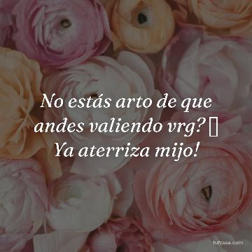 No estás arto de que andes valiendo vrg? 🤣 Ya aterriza mijo!