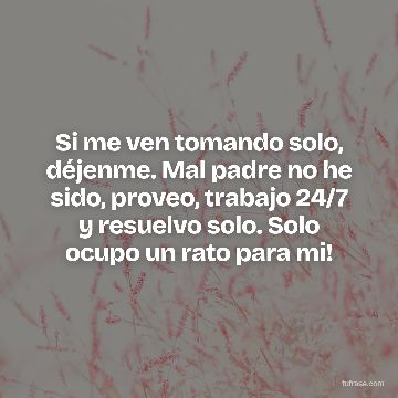Si me ven tomando solo, déjenme. Mal padre no he sido, proveo, trabajo 24/7 y resuelvo solo. Solo ocupo un rato para mi!