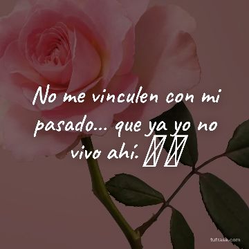 No me vinculen con mi pasado… que ya yo no vivo ahí. 👁️ 🧠