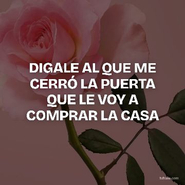 DIGALE AL QUE ME CERRÓ LA PUERTA QUE LE VOY A COMPRAR LA CASA