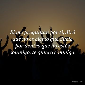 Si me preguntan por ti, diré que no es cierto que duele por dentro que no estés conmigo, te quiero conmigo.