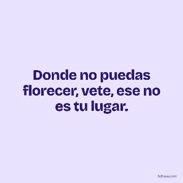 Donde no puedas florecer, vete, ese no es tu lugar.