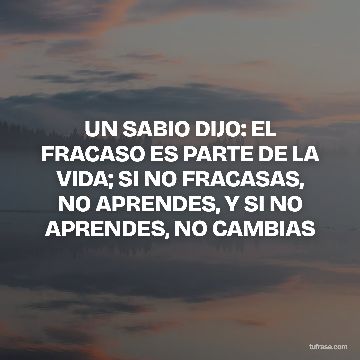 UN SABIO DIJO: EL FRACASO ES PARTE DE LA VIDA; SI NO FRACASAS, NO APRENDES, Y SI NO APRENDES, NO CAMBIAS