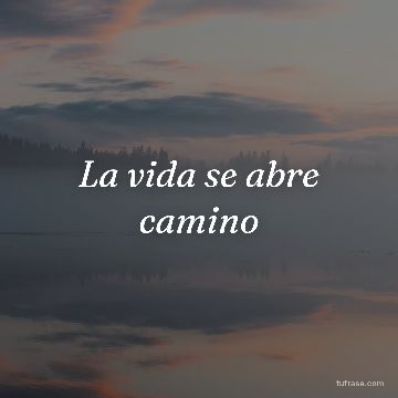 La vida se abre camino
