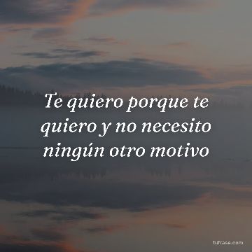 Te quiero porque te quiero y no necesito ningún otro motivo