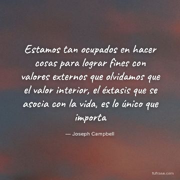 Estamos tan ocupados en hacer cosas para lograr fines con valores externos que olvidamos que el valor interior, el éxtasis que se asocia con la vida, es lo único que importa