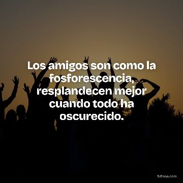 Los amigos son como la fosforescencia, resplandecen mejor cuando todo ha oscurecido.