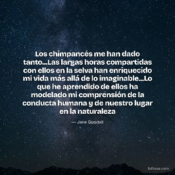 Los chimpancés me han dado tanto...Las largas horas compartidas con ellos en la selva han enriquecido mi vida más allá de lo imaginable...Lo que he aprendido de ellos ha modelado mi comprensión de la conducta humana y de nuestro lugar en la naturaleza