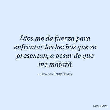 Dios me da fuerza para enfrentar los hechos que se presentan, a pesar de que me matará