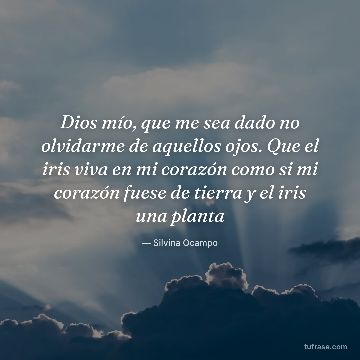 Dios mío, que me sea dado no olvidarme de aquellos ojos. Que el iris viva en mi corazón como si mi corazón fuese de tierra y el iris una planta