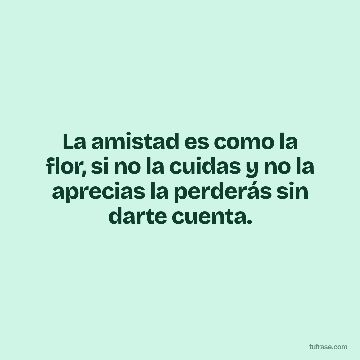 La amistad es como la flor, si no la cuidas y no la aprecias la perderás sin darte cuenta.