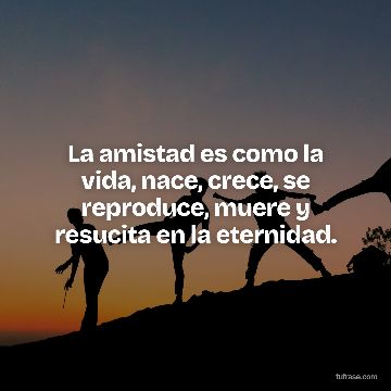 La amistad es como la vida, nace, crece, se reproduce, muere y resucita en la eternidad.
