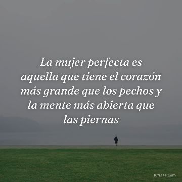La mujer perfecta es aquella que tiene el corazón más grande que los pechos y la mente más abierta que las piernas