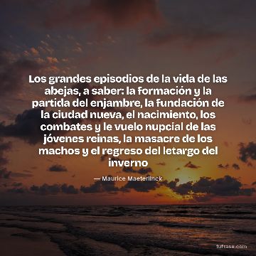 Los grandes episodios de la vida de las abejas, a saber: la formación y la partida del enjambre, la fundación de la ciudad nueva, el nacimiento, los combates y le vuelo nupcial de las jóvenes reinas, la masacre de los machos y el regreso del letargo del inverno