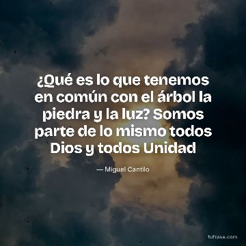 ¿Qué es lo que tenemos en común con el árbol la piedra y la luz? Somos parte de lo mismo todos Dios y todos Unidad