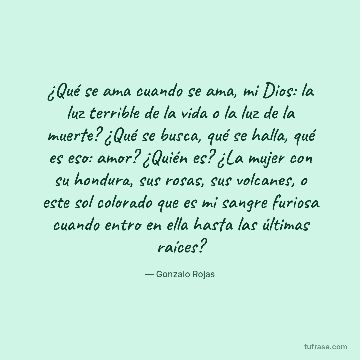 ¿Qué se ama cuando se ama, mi Dios: la luz terrible de la vida o la luz de la muerte? ¿Qué se busca, qué se halla, qué es eso: amor? ¿Quién es? ¿La mujer con su hondura, sus rosas, sus volcanes, o este sol colorado que es mi sangre furiosa cuando entro en ella hasta las últimas raíces?