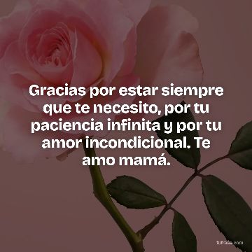 Gracias por estar siempre que te necesito, por tu paciencia infinita y por tu amor incondicional. Te amo mamá.