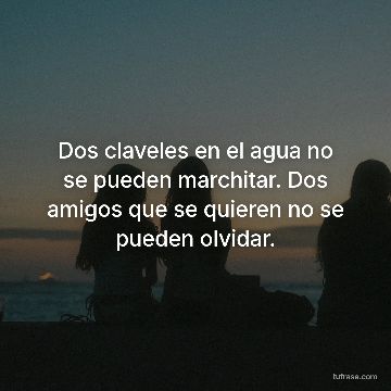 Dos claveles en el agua no se pueden marchitar. Dos amigos que se quieren no se pueden olvidar.
