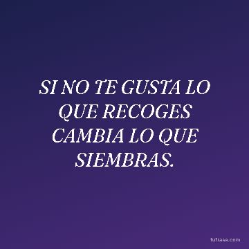 SI NO TE GUSTA LO QUE RECOGES
CAMBIA LO QUE SIEMBRAS.