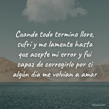 Cuando todo termino llore, sufrí y me lamente hasta que acepte mi error y fui capaz de corregirlo por si algún día me volvían a amar