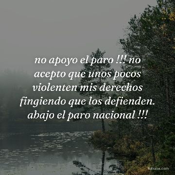 no apoyo el paro !!! no acepto que unos pocos violenten mis derechos fingiendo que los defienden. abajo el paro nacional !!!