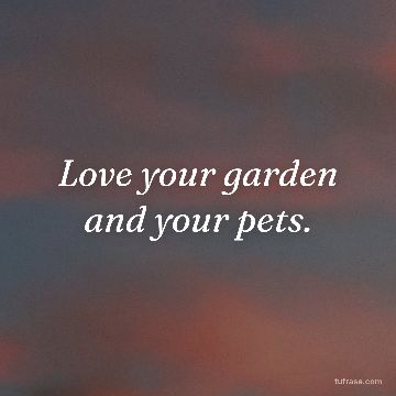 Love your garden and your pets.