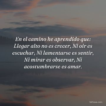 En el camino he aprendido que: Llegar alto no es crecer, Ni oir es escuchar, Ni lamentarse es sentir, Ni mirar es observar, Ni acostumbrarse es amar.