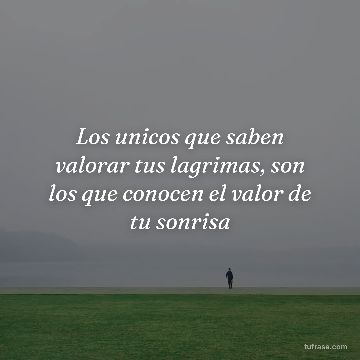 Los unicos que saben valorar tus lagrimas, son los que conocen el valor de tu sonrisa