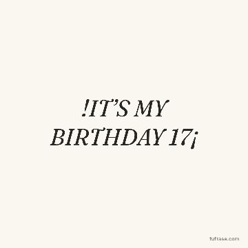 !IT’S MY BIRTHDAY 17¡