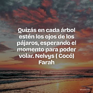 Quizás en cada árbol estén los ojos de los pájaros, esperando el momento para poder volar. Nelvys ( Cocó) Farah