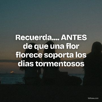 Recuerda.... ANTES de que una flor florece soporta los dias tormentosos