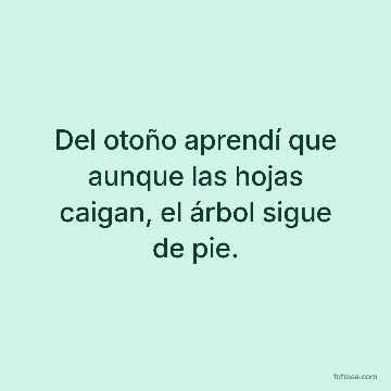 Del otoño aprendí que aunque las hojas caigan, el árbol sigue de pie.