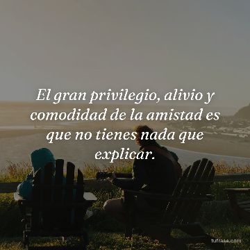 El gran privilegio, alivio y comodidad de la amistad es que no tienes nada que explicar.