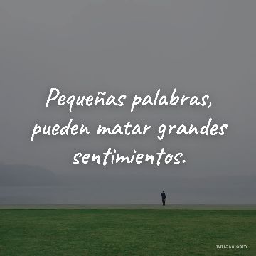 Pequeñas palabras, pueden matar grandes sentimientos.