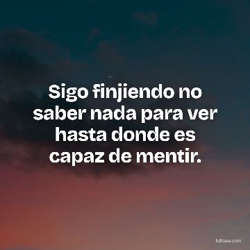 Sigo finjiendo no saber nada para ver hasta donde es capaz de mentir.