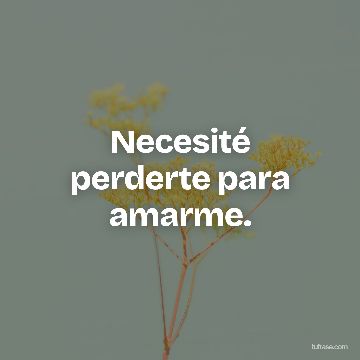 Necesité perderte para amarme.