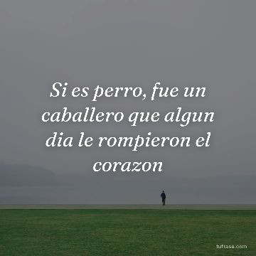 Si es perro, fue un caballero que algun dia le rompieron el corazon