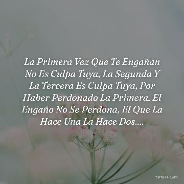 La Primera Vez Que Te Engañan No Es Culpa Tuya, La Segunda Y La Tercera Es Culpa Tuya, Por Haber Perdonado La Primera. El Engaño No Se Perdona, El Que La Hace Una La Hace Dos....