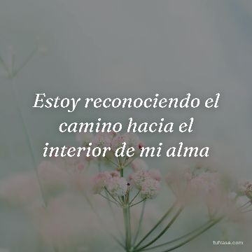 Estoy reconociendo el camino hacia el interior de mi alma
